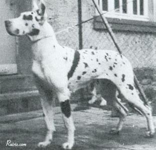 Rita Von Gut Tunis