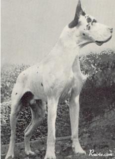 Arno Von Haus Evita