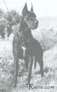 Ch Jorinde Von Haus Fresena