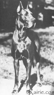 Yankee Von Haus Fresena