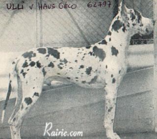 Ulli Von Hause Geco