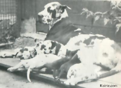 Lissi Von Riedstern
