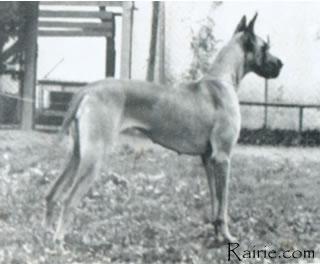 Elke Von Romerbad