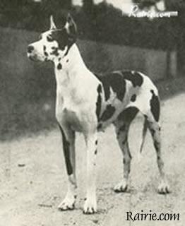 Bianka Von Singoltal