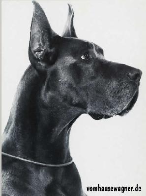 Fleur Von Trautheim