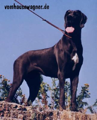 Greta Von Trautheim