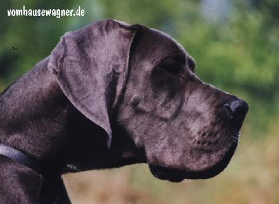 Tyler Vom Hause Wagner