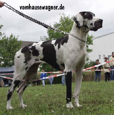 Jagoda Von Schlesien