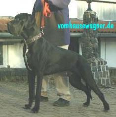 Gery Vom Hofgut