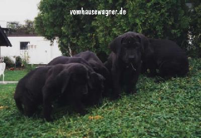 Xana Vom Hause Wagner