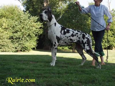Ch Oreole Des Terres De La Rairie