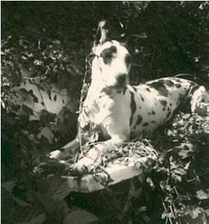 Jade De Mourre Frais