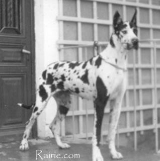 Hedy Von Krabach
