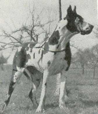 Isis Von Henneberg