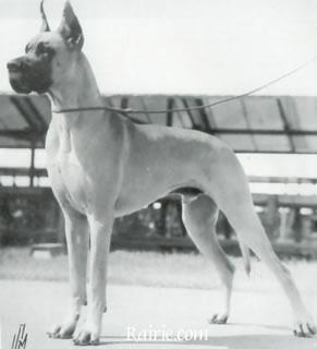 Gaetan Von Harlekin