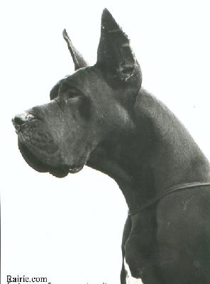 Ch Ferro Indios Dell Armida