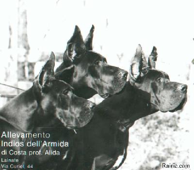 Ch Ferro Indios Dell’ Armida