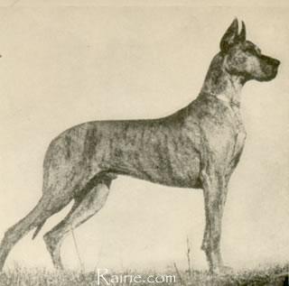 Bello Von Belpberg