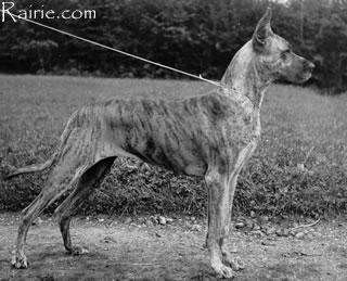Haida Von Eisenhof