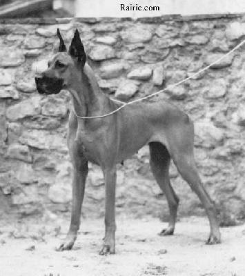 Agani Von Bergland