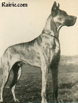 Zorn Von Birkenhof
