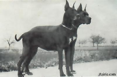Eda Von Usatal
