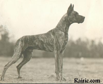 Zisko Kadow