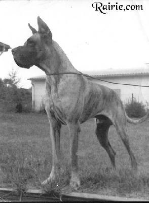 Larry Vom Doggenadel