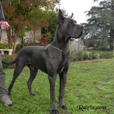 Ch Socrate Des Terres De La Rairie