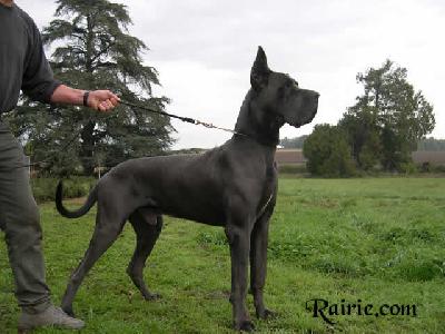Ch Socrate Des Terres De La Rairie