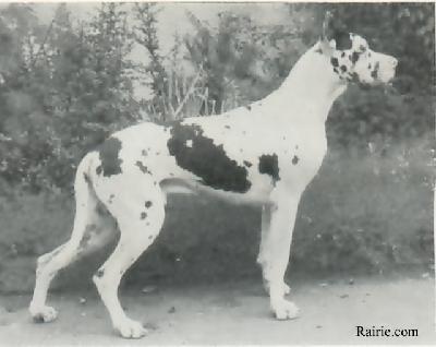 Tom Von Riedstern