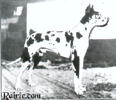 Dolf Von St Anna
