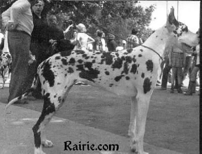 Mischa Imperial