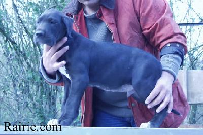 Tyrus Des Terres De La Rairie