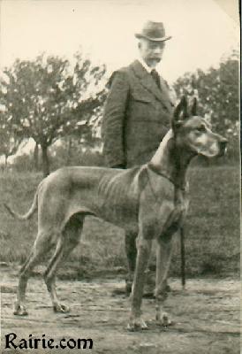 Falke Hansa