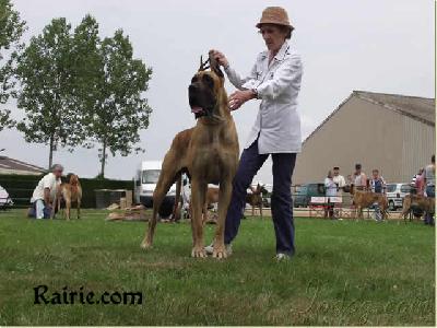 Ch Ratina Des Terres De La Rairie