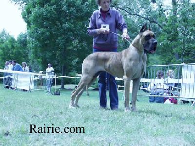 Ch Ratina Des Terres De La Rairie