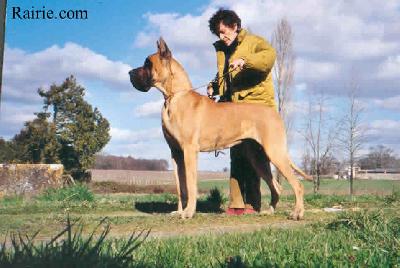 Ch Ratina Des Terres De La Rairie