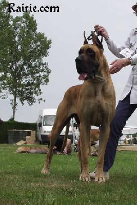 Ch Ratina Des Terres De La Rairie