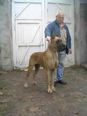 Ch Ratina Des Terres De La Rairie