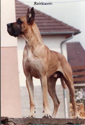 Ch Shair Du Clos Templerie