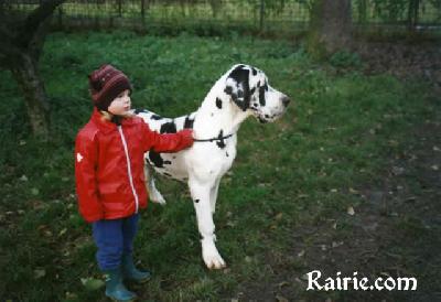 Tresor Des Terres De La Rairie