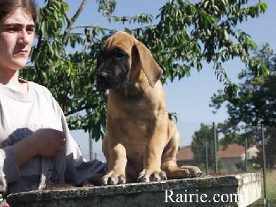 Tzing Des Terres De La Rairie