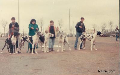 Ch Antinea Du Domaine De Lempereur