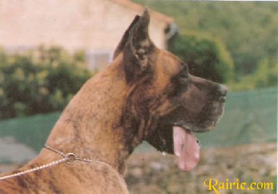 Carina De Laygues River
