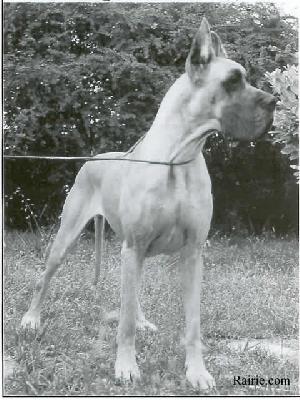 Grimm De Baussenque