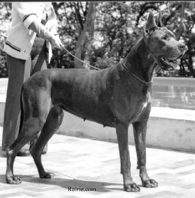 Isadora Du Domaine De L�empereur