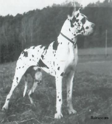 Bismarck Liberte