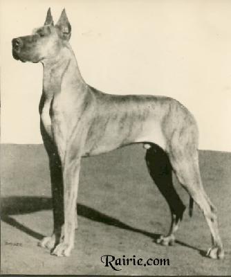 Kalandus Hassia