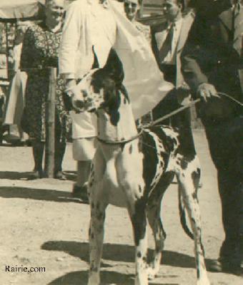 Baroness Von Ulmer Munster